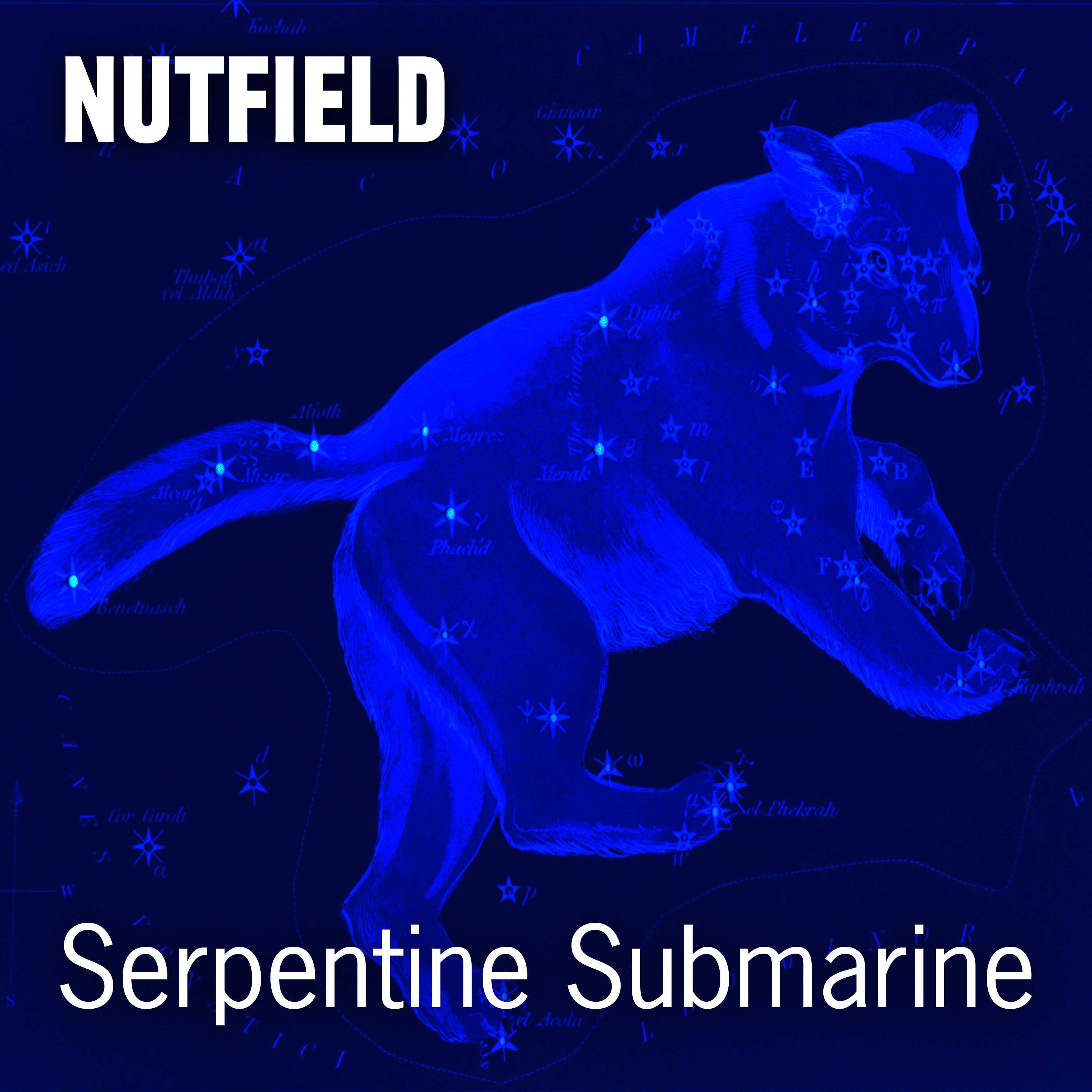 Serpentine Submarine